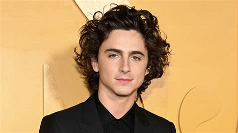 timothee chalamet net worth.